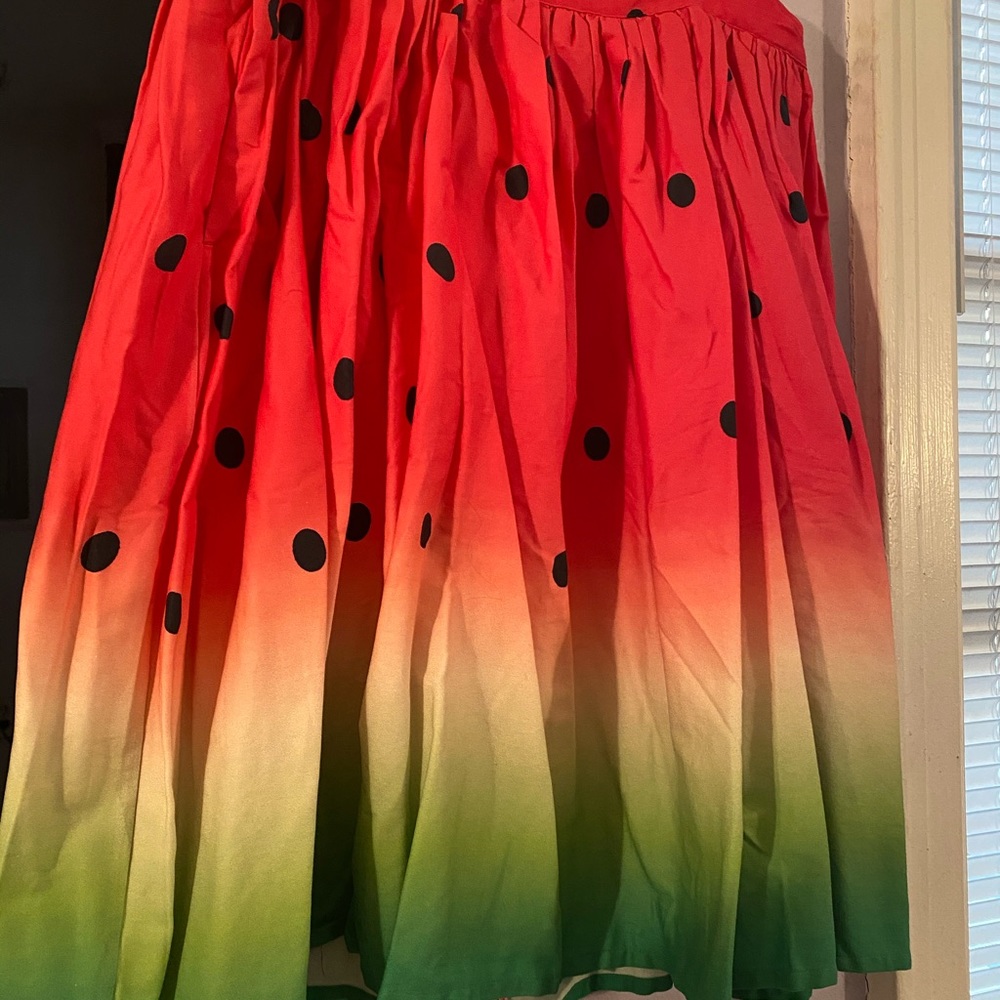 Unique Vintage Watermelon Skirt